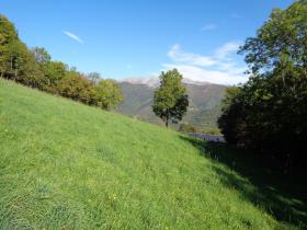 photo coins arrondis